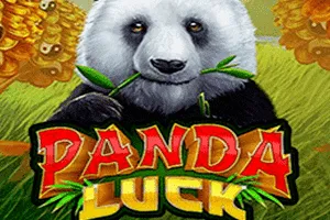 Panda Luck - NEXTSLOT777