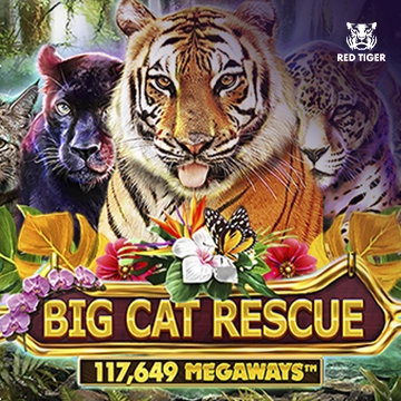 Big Cat Rescue Megaways - NEXTSLOT777