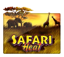 Joker123 : Safari Heat - NEXTSLOT777