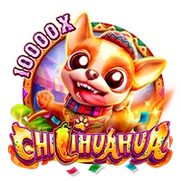 Facai : CHILIHUAHUA - NEXTSLOT777