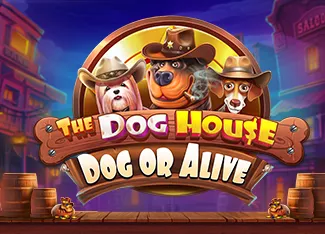 Pragmatic : The Dog House - Dog or Alive - NEXTSLOT777