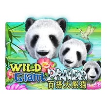 Joker123 : Wild Giant Panda - NEXTSLOT777