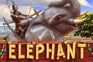 ELEPHANT - NEXTSLOT777
