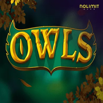 NolimitCity : Owls - NEXTSLOT777