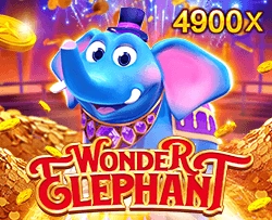 Wonder Elephant - NEXTSLOT777