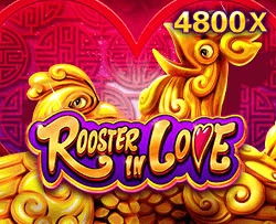 Rooster In Love - NEXTSLOT777
