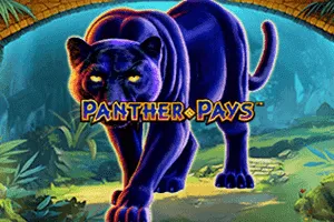 Panther Pays - NEXTSLOT777