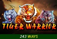 Tiger Warrior - NEXTSLOT777