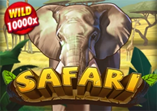Safari - NEXTSLOT777