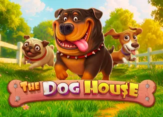 Pragmatic : The Dog House - NEXTSLOT777