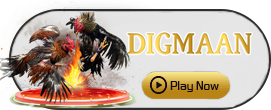 Digman - NEXTSLOT777
