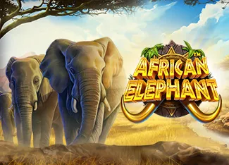 Pragmatic : African Elephant - NEXTSLOT777